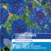 Cornflower Blue Diadem