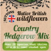 Native British Wildflowers Country Hedgerow Mix