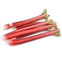 Prince Albert (Rhubarb Crowns)