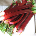 Timperley Early (Rhubarb Crowns)