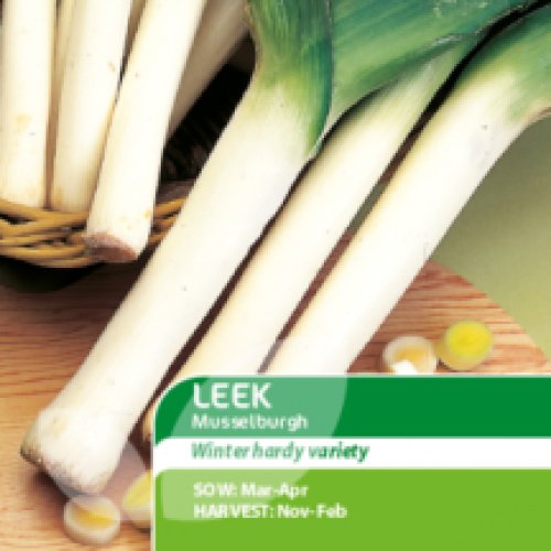 Seeds Edible N-R