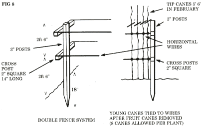 Double Fence System Illustration