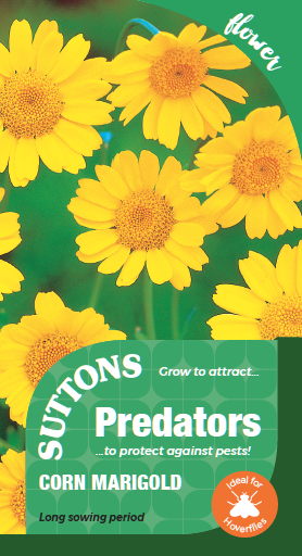 Seeds Pollinators And Predators Corn Marigold For Sale Buy Online