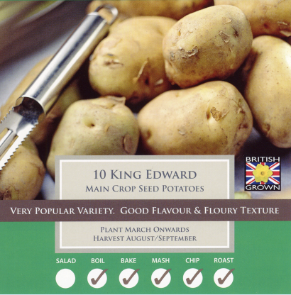 Bulbs Potato King Edward Bulbs For Sale Mail Order