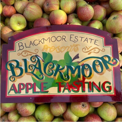 Blackmoor Estate’s Apple Tasting Day