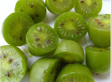 New Kiwi Berry