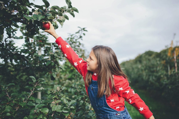 Blackmoor Pick Your Own