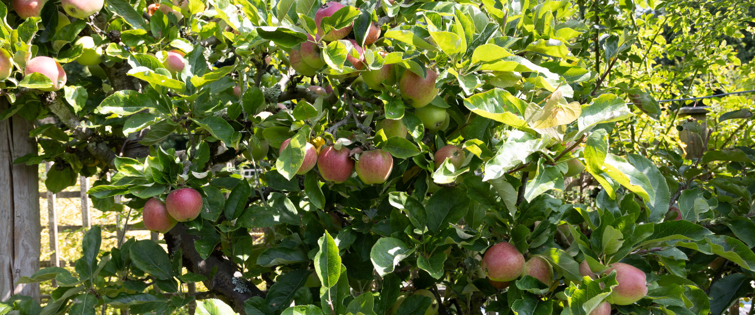 Save as you grow with Blackmoor