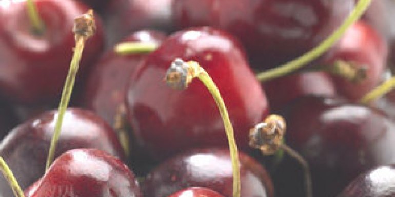 A self fertile cherry tree that would be our choice in any garden. A self fertile cherry tree that would be our choice in any garden.