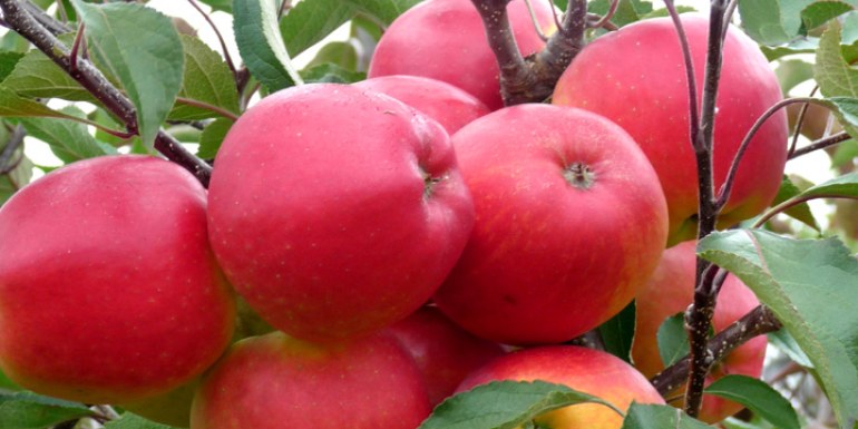 Remains the number one choice! Sale  Save £3.50