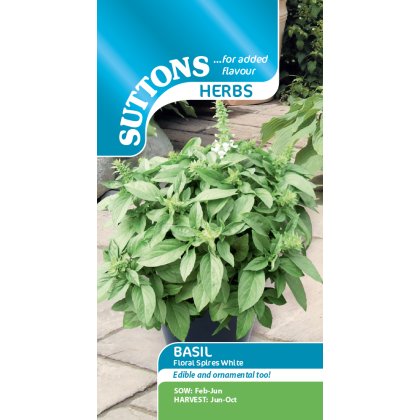 Seeds - Basil Floral Spires White