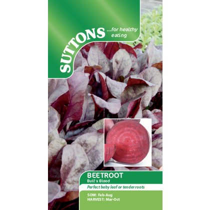 Seeds - Beetroot Bulls Blood Seeds - Beetroot Bulls Blood