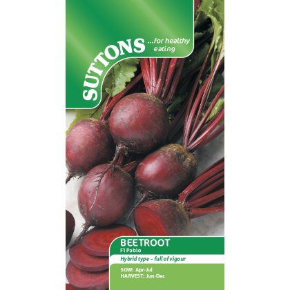 Seeds - Beetroot F1 Pablo Seeds - Beetroot F1 Pablo