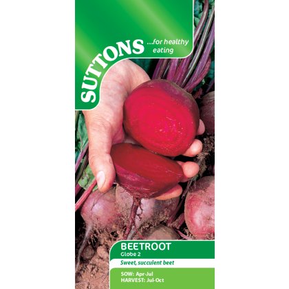 Seeds - Beetroot Globe 2 Seeds - Beetroot Globe 2