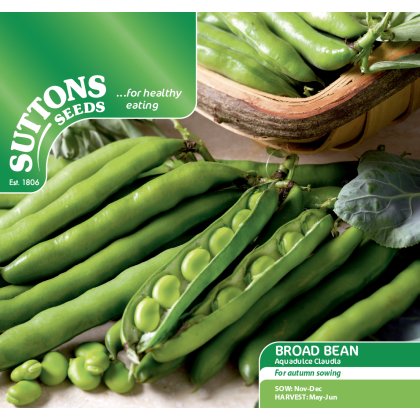 Seeds - Broad Bean Aquadulce Claudia Seeds - Broad Bean Aquadulce Claudia