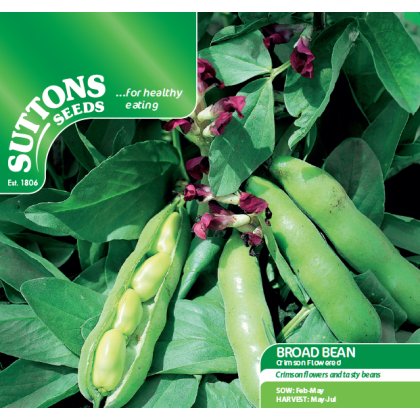 Seeds - Broad Bean Crimson Flowered Seeds - Broad Bean Crimson Flowered