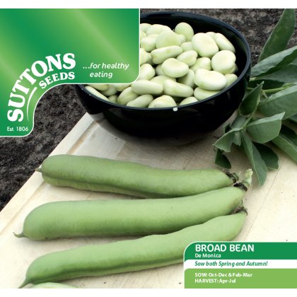 Seeds - Broad Bean De Monica Seeds - Broad Bean De Monica