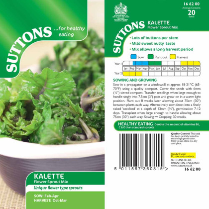 Seeds - Brussels Sprouts Kalette Flower Sprout Mix Seeds - Brussels Sprouts Kalette Flower Sprout Mix