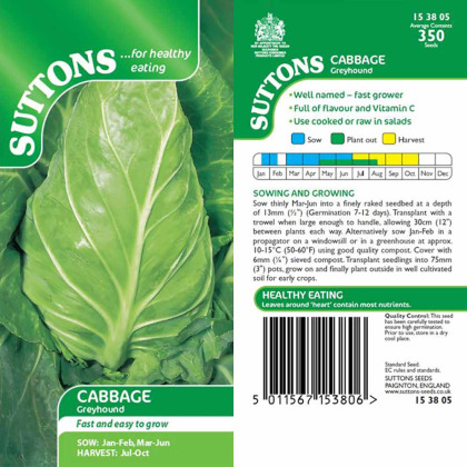 Seeds - Cabbage Greyhound Seeds - Cabbage Greyhound