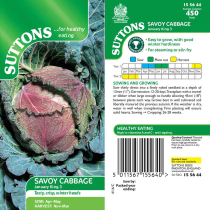 Seeds - Cabbage Savoy January King 3 Seeds - Cabbage Savoy January King 3