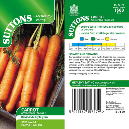 Seeds - Carrot Amsterdam Forcing 3 Seeds - Carrot Amsterdam Forcing 3