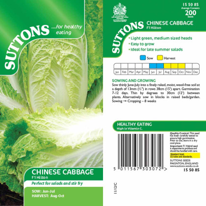 Seeds - Chinese Cabbage F1 Hilton