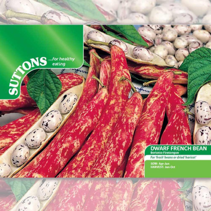 Seeds - Dwarf French Bean Borlotto Firetongue