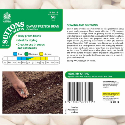 Seeds - Dwarf French Bean Cannellino