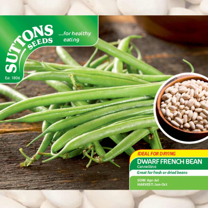Seeds - Dwarf French Bean Cannellino