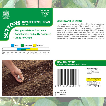 Seeds - Dwarf French Bean Celine
