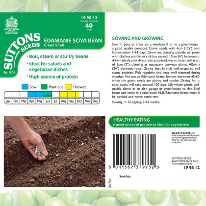 Seeds - Edamame Soya Bean Green Shell