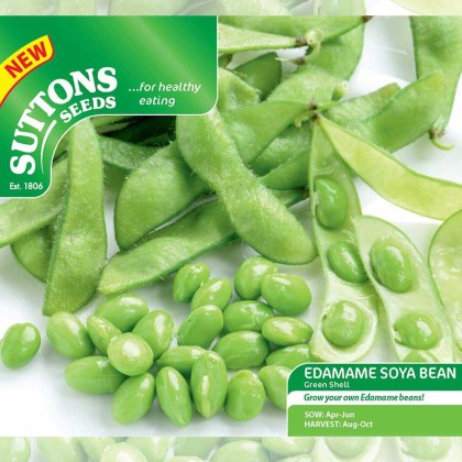 Seeds - Edamame Soya Bean Green Shell