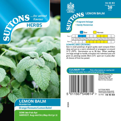 Seeds - Lemon Balm Mandarina Seeds - Lemon Balm Mandarina