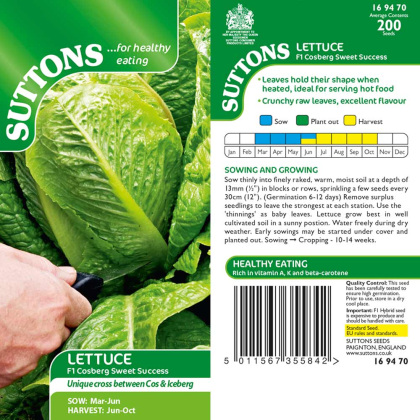 Seeds - Lettuce Cosberg Sweet Success F1 Seeds - Lettuce Cosberg Sweet Success F1