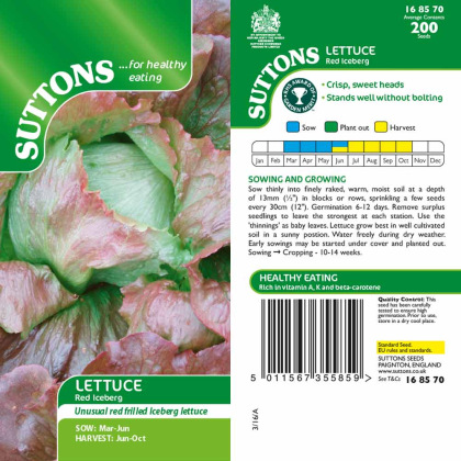 Seeds - Lettuce Red Iceberg Seeds - Lettuce Red Iceberg