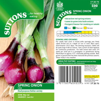 Seeds - Onion Spring Lilia