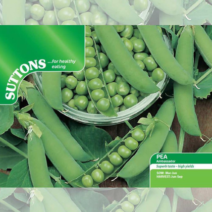 Seeds - Pea Ambassador