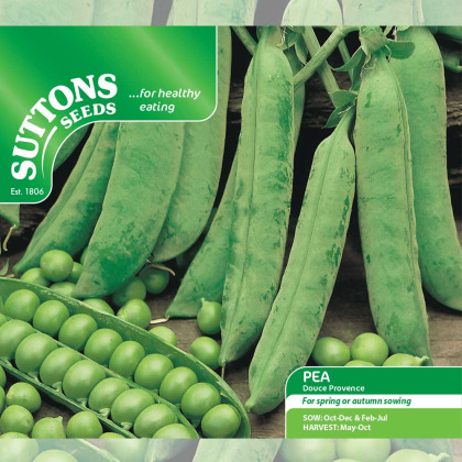 Seeds - Pea Douce Provence
