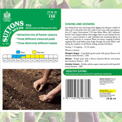 Seeds - Pea Mangetout Multicoloured Mix