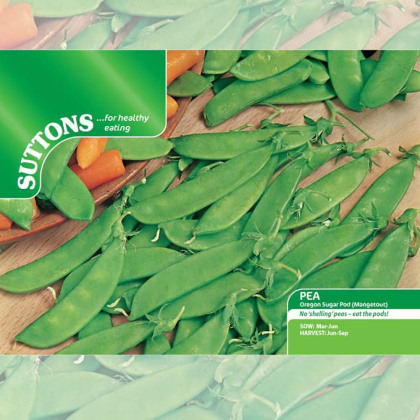 Seeds - Pea Oregon Sugar Pod (Mangetout)