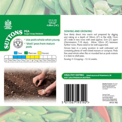 Seeds - Pea Sugar Snap Delikett
