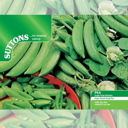 Seeds - Pea Sugar Snap Delikett