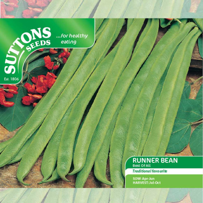 Seeds - Runner Bean Best of All