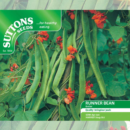 Seeds - Runner Bean Butler (Stringless)
