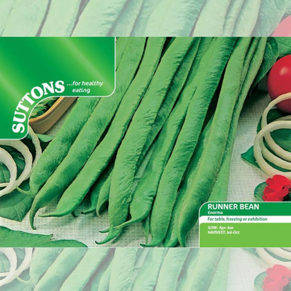 Seeds - Runner Bean Enorma