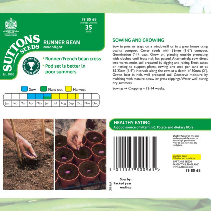 Seeds - Runner Bean Moonlight