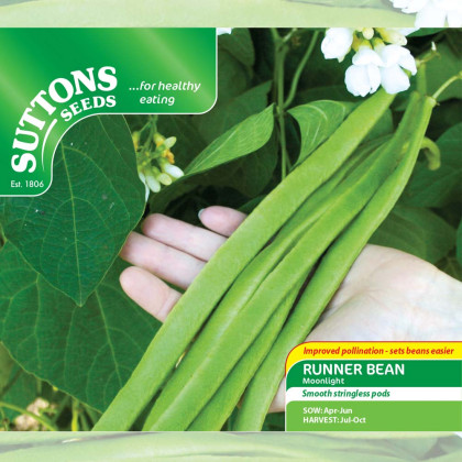 Seeds - Runner Bean Moonlight