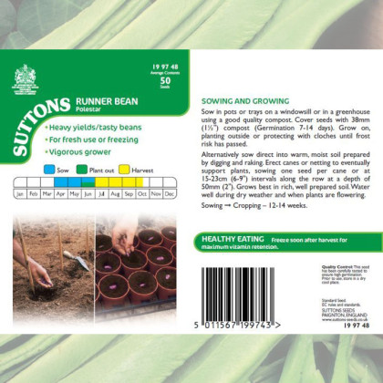 Seeds - Runner Bean Polestar (Stringless)