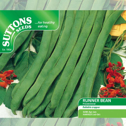 Seeds - Runner Bean Prizewinner