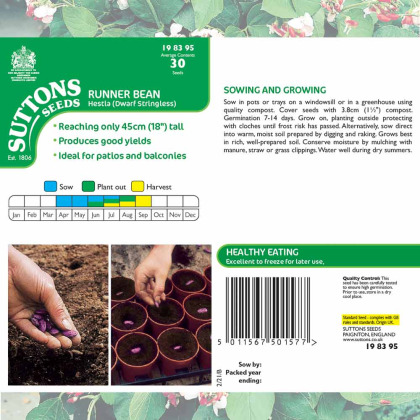 Seeds - Runner Bean Seeds Hestia